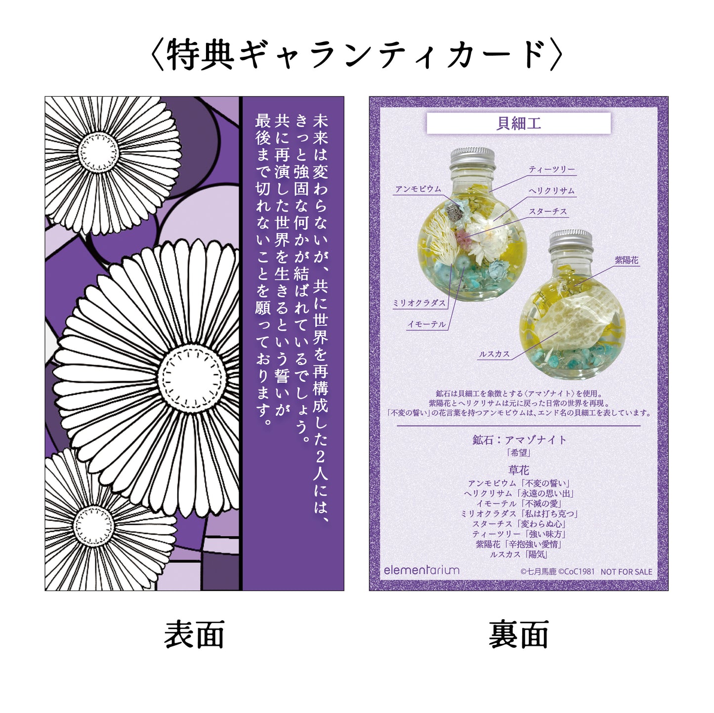 コラボエレメンタリウム Petit 「貝細工」