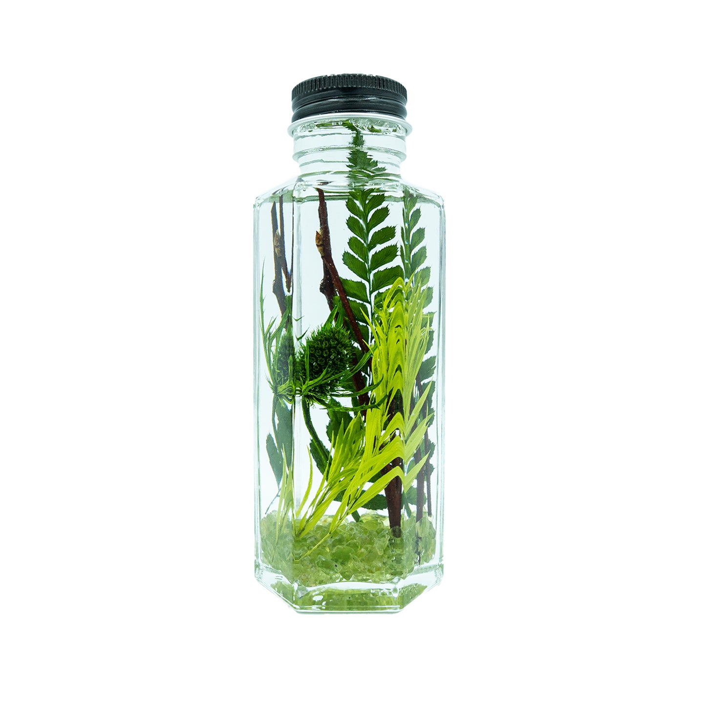 TREE petit〈木〉