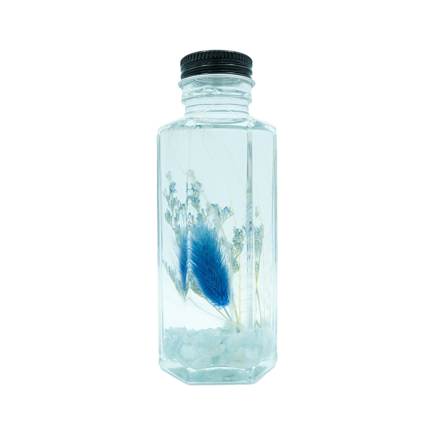 WATER petit〈水〉