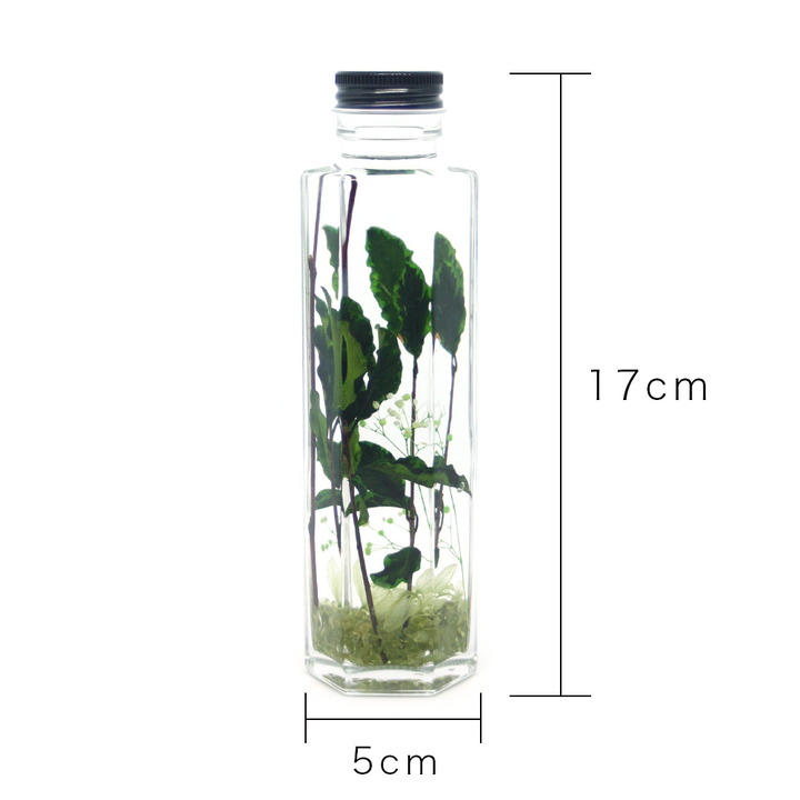 TREE grande〈木〉