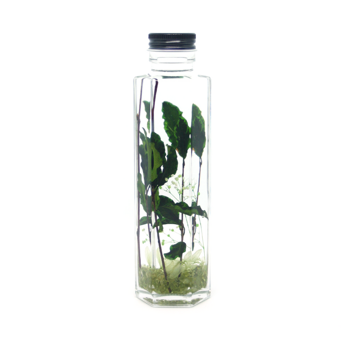 TREE grande〈木〉