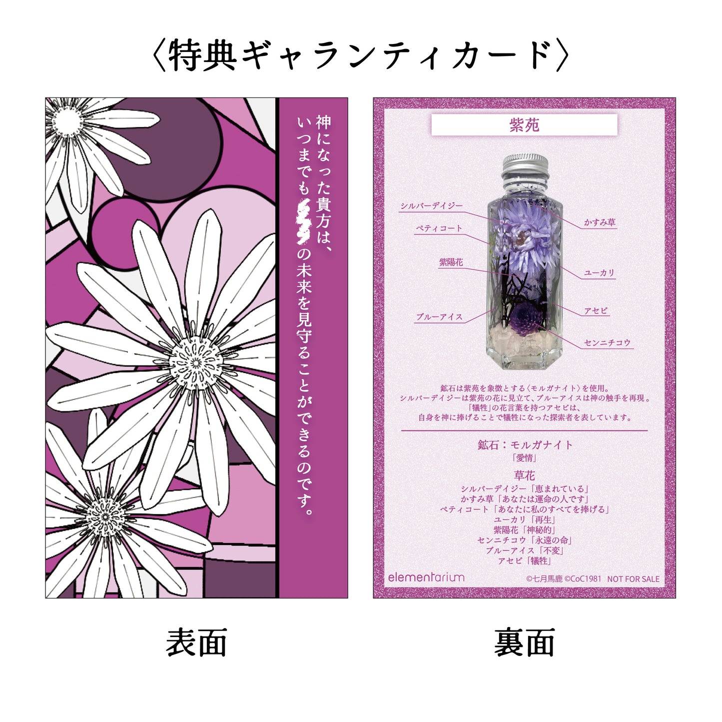 コラボエレメンタリウム Petit 「紫苑」
